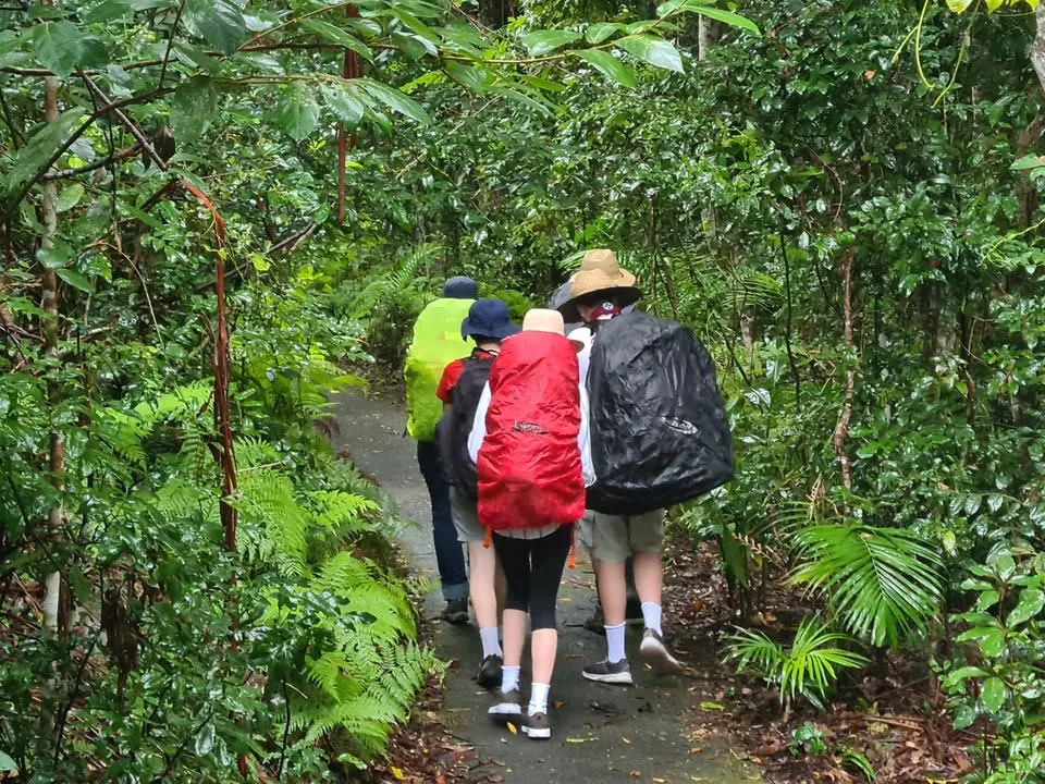 Sunshine Coast Hinterland Walk