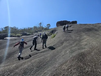 Underwood Scouts scrambling up a large granite boulder, South Bald Rock, in Girraween National Park on a sunny day